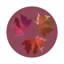 Sous-verres ronds d'automne en cuir végétalien mauve-119015303