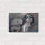 «Fuzzy Friends» par Robert Campbell-2073143585