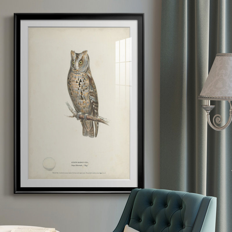 " Scops- Eared Owl ", Black, 36.5" H x 26.5" W x 1" D