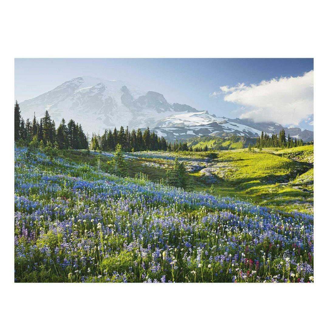 Glasbild Blühende Bergwiese am Mount Rainier