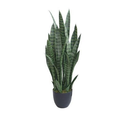 Plante de faux serpent 36 po (Sansevieria) en pot noir