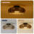20-Inch Flush Mount Caged ceiling Fan with Light for Small Room