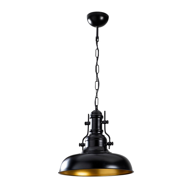 Luminaire suspendu en dôme à 1 lumière Hoggan