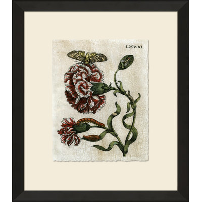 Crackled Insect Collection 6 Framed Painting