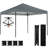 10 x 10 ft Pop Up Canopy Tent with One Push Setup, Easy Setup Outdoor Portable Instant Canopy Shelter with Wheeled Carry Bag, Sandbags, Adjustable Height for Parties, Events, Dark Gray-123817726