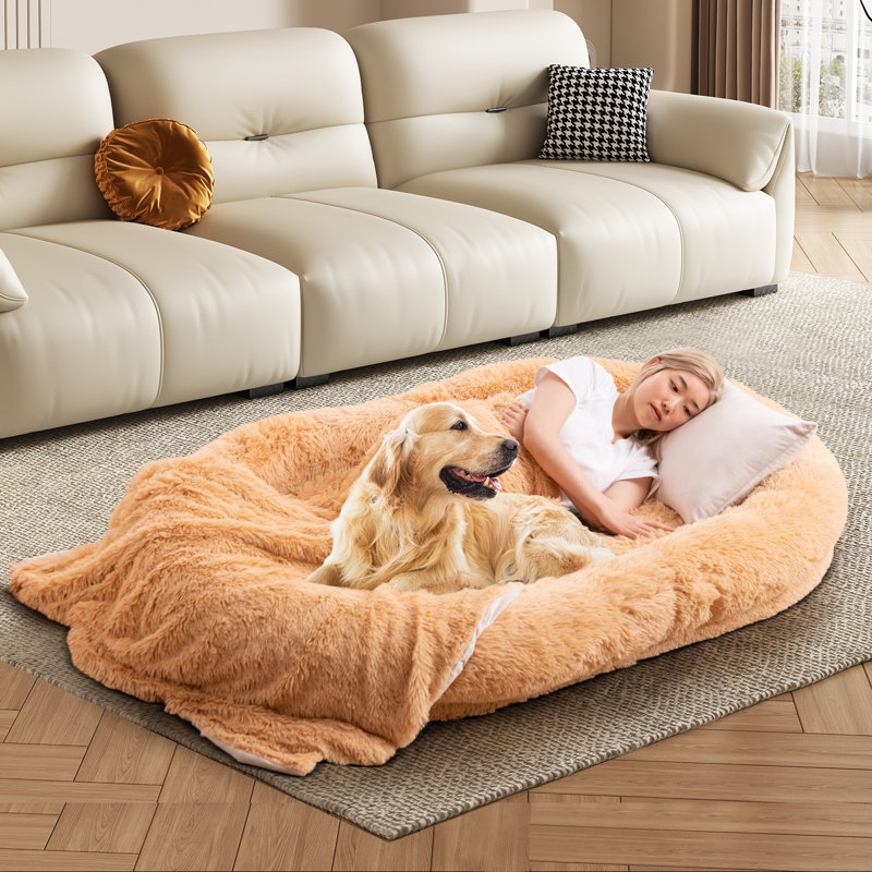 Lit orthopédique pour chien avec couverture souple 68 po x 46 po x 10 po Tucker Murphy Pet ™, Brun