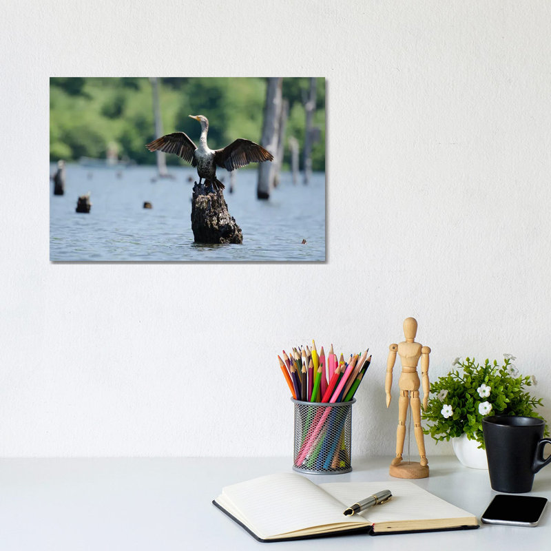 Airing It Out by David Gardiner - Wrapped Canvas Print, 20.32cm H x 30.48cm W