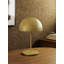 Pin Lamp-1426218531