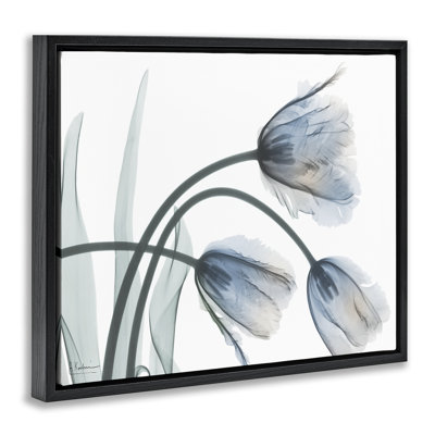 Cadre flottant tendance tulipes, design par Albert Koetsier