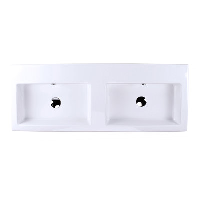 Aquaquattro 47.5'' L Bathroom Sink