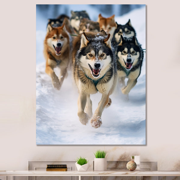 Ebern Designs Alaska Dog Sledding III On Canvas Print | Wayfair