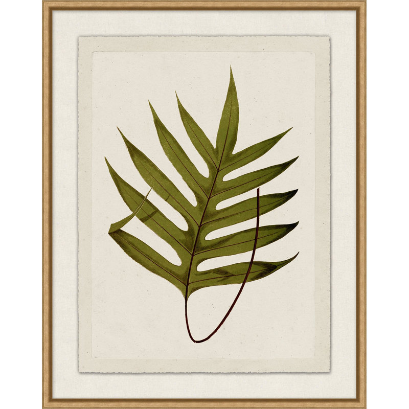 Plant Presses 8 Framed Graphic Art
