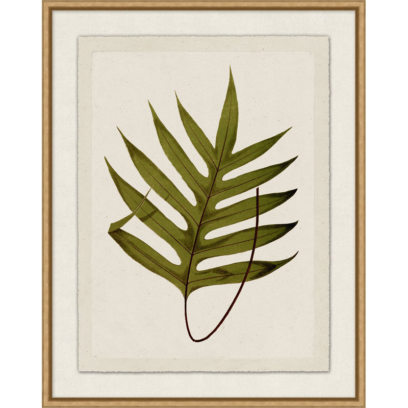 Plant Presses 8 Print by Lillian August