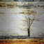 «Lone Tree» par Parvez Taj - reproduction sur métal-1613474353