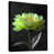 Black Floater Framed, Solid Wood