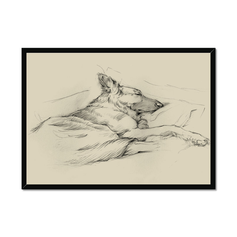 Dog Days IV by Ethan Harper - Print, Black Framed Paper Print, 34cm H x 50cm W