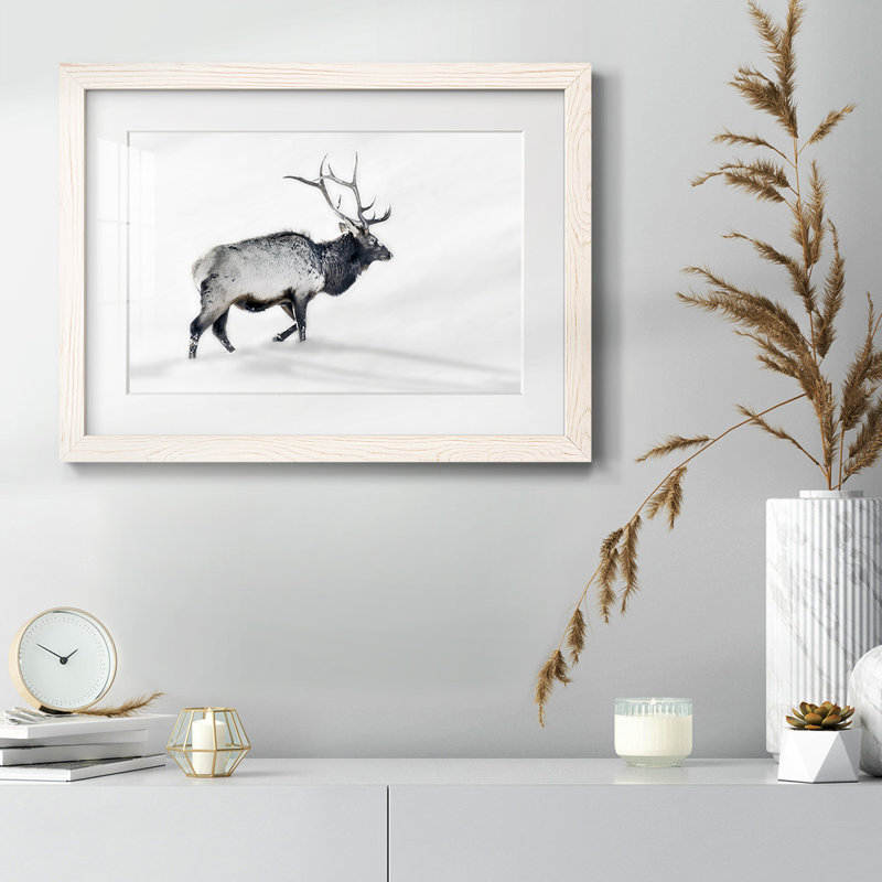 Lone Bull encadré sur papier, Blanc, H 28 po x l 42 po x P 1,5 po