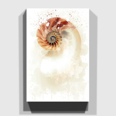 Mother of Pearl Shell - Wall Art