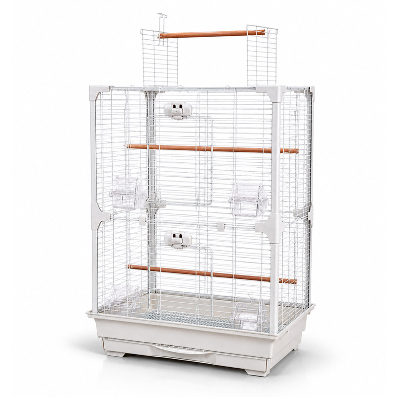 High Perch Tall Top-Opening Bird Cage with Twin Perches | Little Friends