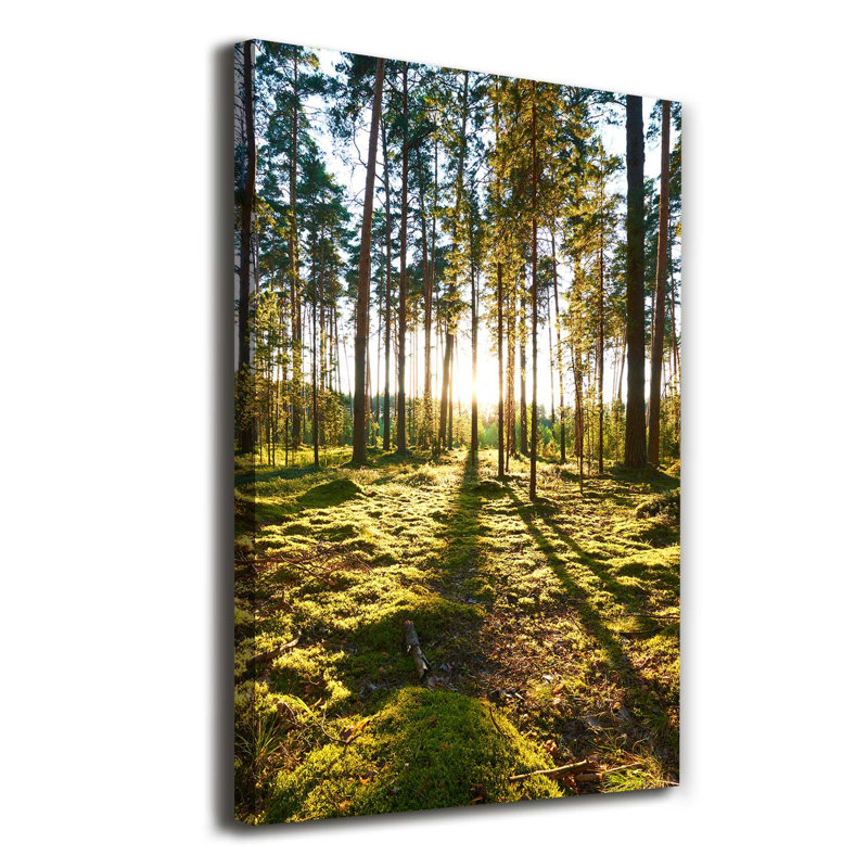 Fruits - Wrapped Canvas Print