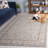 Georgiana Hand Tufted Wool/Cotton Oriental Rug in Grey/Rust-1153596096