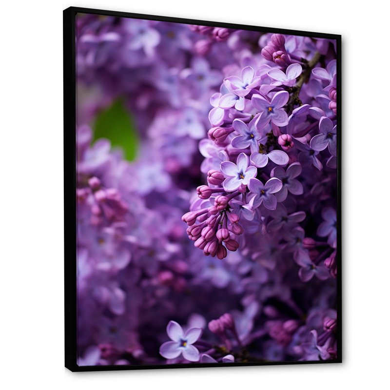 «Lilacs mauves», impression sur toile, H 32 po x l 24 po x P 1 po, Cadre flottant noir