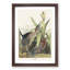 Green Heron by John Audubon - Picture Frame Painting Print-55609122-55609123
