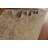 Traditional   Area Rug 10x12