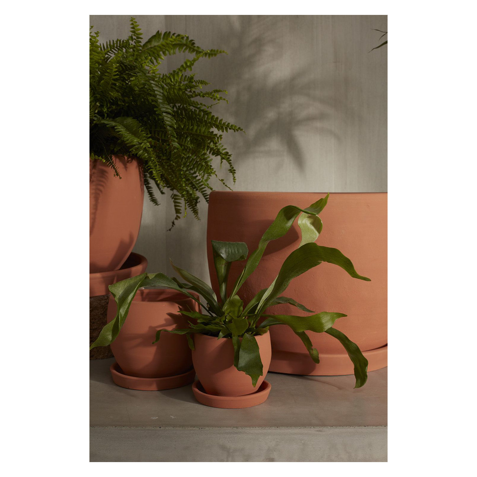 Elisabeth Handmade Ceramic Pot Planter, 6.5" H x 6.25" W x 6.25" D