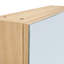 Bathroom Mirror Cabinet Wall Mounted