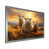 Silver Single Picture Framed
