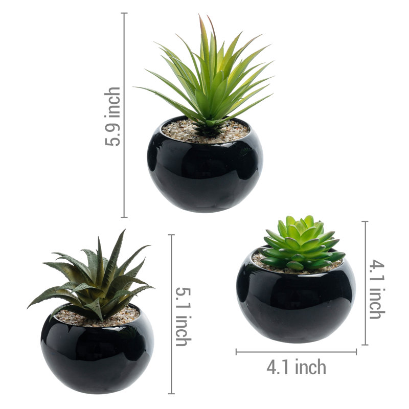Ensemble de 3 plantes succulentes artificielles en mini jardinière noire