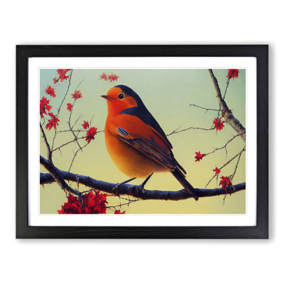 Thrilling Robin Bird - Single Picture Frame Print