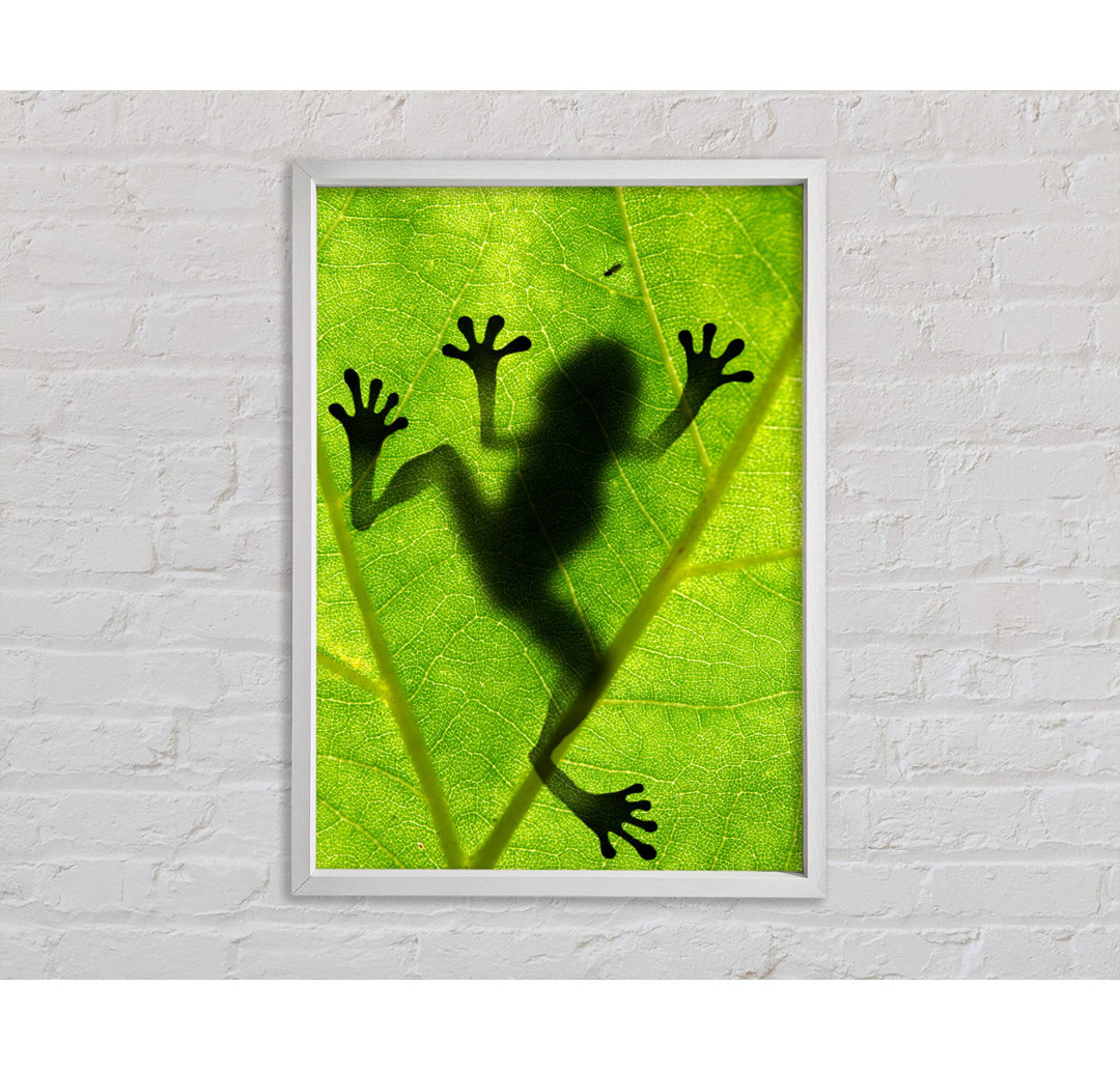 Froschschatten - Einzelner Bilderrahmen Kunstdrucke auf Leinwand