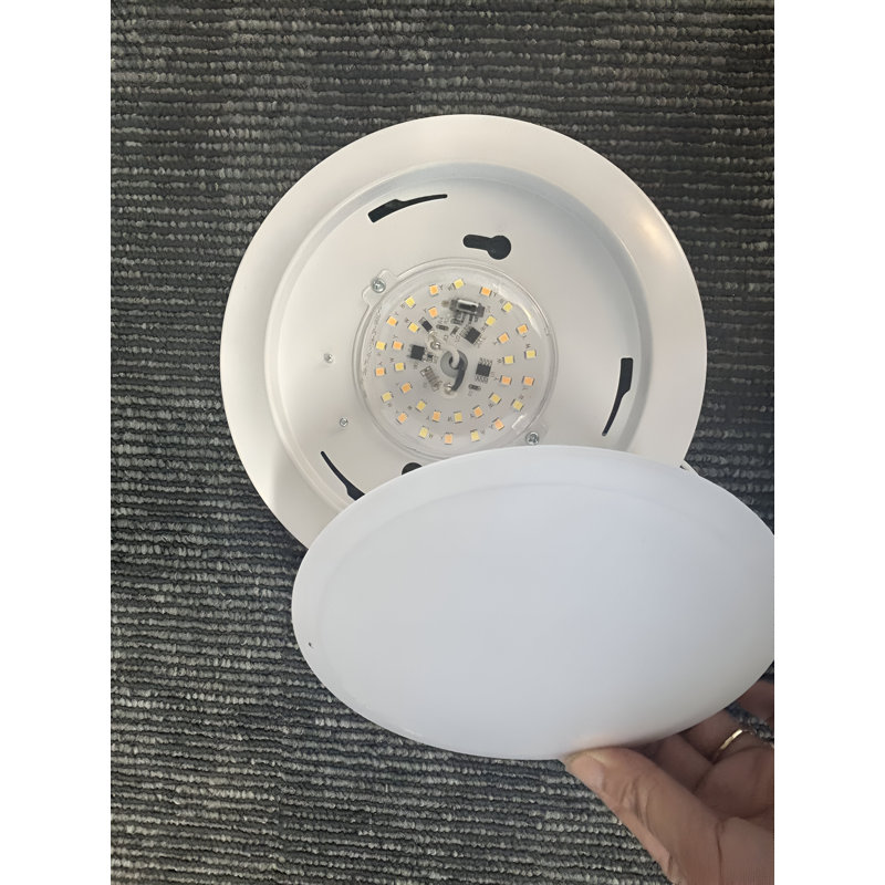 Dimmable Round Flush Mount