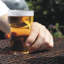 284ml Pint Glass Set