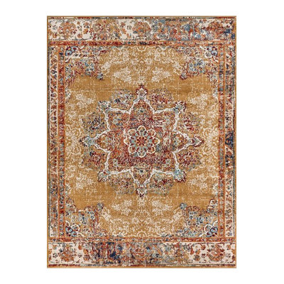 Northern Collection Orange Brown Toned Distressed Look Ethnic Woven Base Decorative Rug