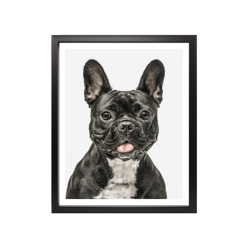 Photogenic Dog Scandi - Single Picture Frame Print, 134.112 cm H x 108.712 cm W, Satin Black