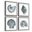 Coquillages gris - ensemble de 4 reproductions de photos-30011360