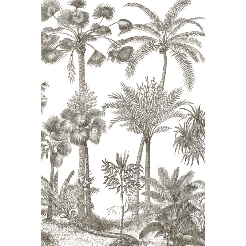 Palm Oasis II by Wild Apple Portfolio - Wrapped Canvas Print, 122cm H x 81cm W 