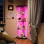 Glass 60 cm W Display Cabinet-1734118090-1734118092