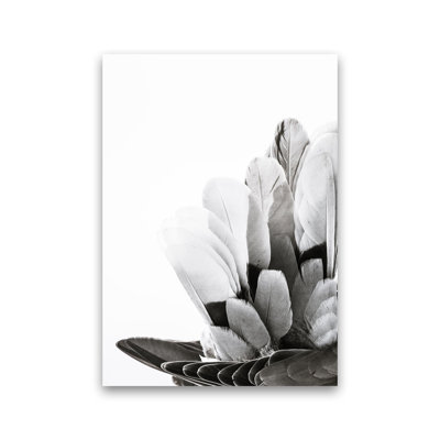 Feathers by Victoria Frost - Print