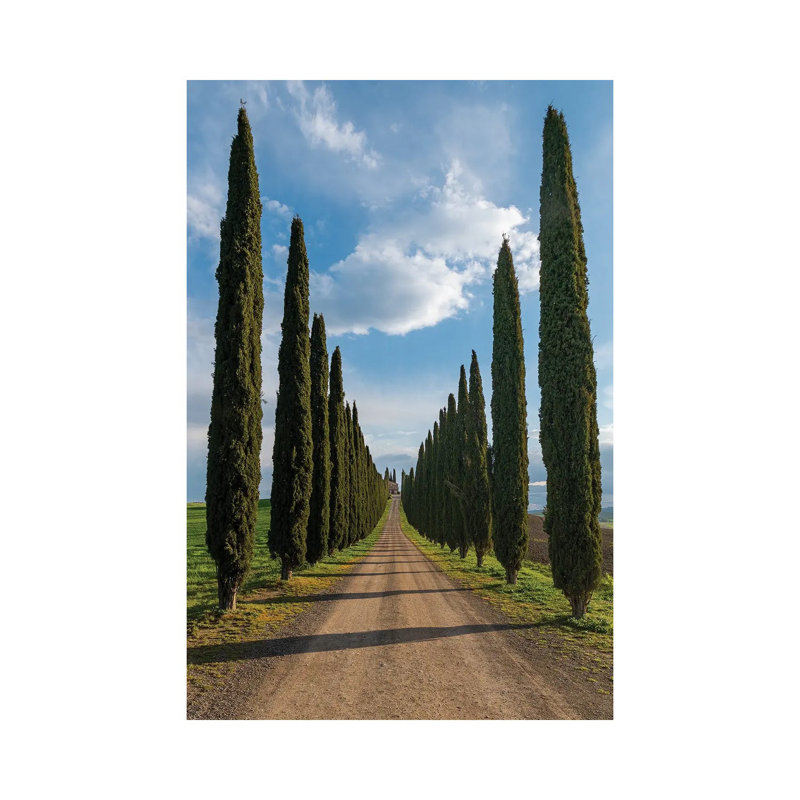 «The Road To Silence», reproduction d'art sur toile tendue, H 26 po x l 18 po, Toile tendue, Ne s’applique pas