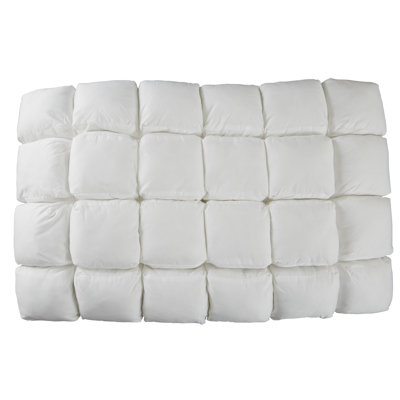Hollaway L75 x 50cm Pillow