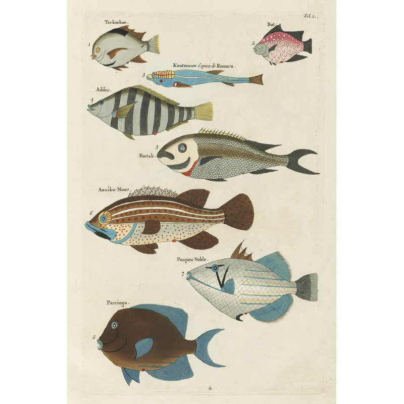 Baldoumas Renard Tropical Fish V par Louis Renard, H 18 po x l 12 po