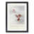 Black Framed selected