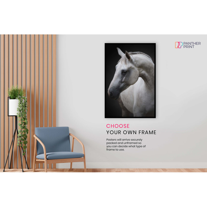 Graceful White Horse Portrait - No Frame Print, 76cm H x 51cm W x 1cm D