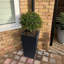 Plant Pot-795294482-788838803