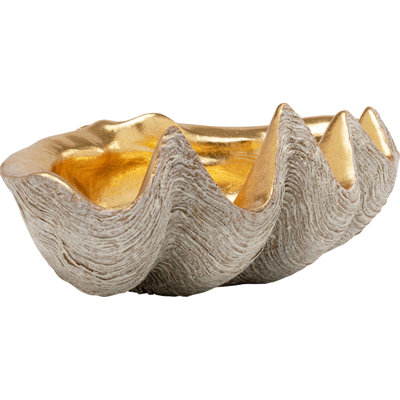 Deco Bowl Noble Shell