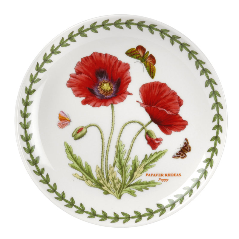 6" Coupe Plate